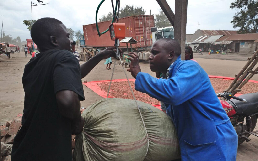 Blood Beans: The illicit cocoa trade fuelling violence at the DR Congo–Uganda border